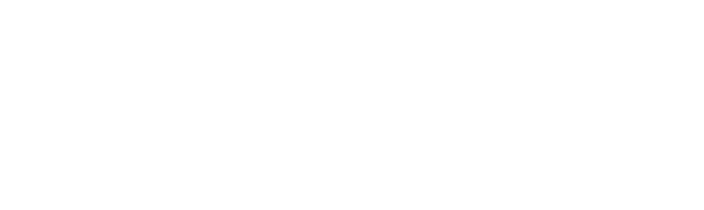 Errorfir logo